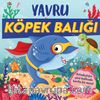 Yavru Köpek Balığı
