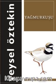 Yağmurkuşu