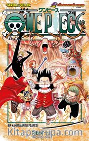 One Piece 43.Cilt