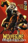 Wolverine Çıkış Yaraları