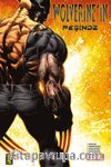 Wolverine'in Peşinde