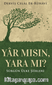 Yar Mısın, Yara Mı?