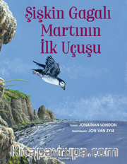 Şişkin Gagalı Martının İlk Uçuşu