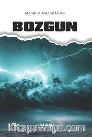 Bozgun