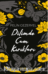 Dilimde Cam Kırıkları