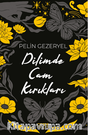 Dilimde Cam Kırıkları