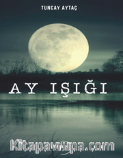 Ay Işığı