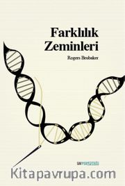 Farklılık Zeminleri