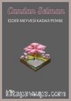 Ejder Meyvesi Kadar Pembe