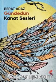 Gündedün Kanat Sesleri