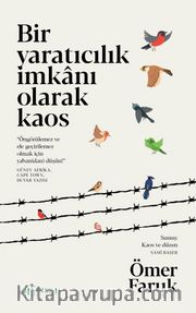 Bir Yaratıcılık İmkanı Olarak Kaos