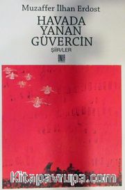 Havada Yanan Güvercin