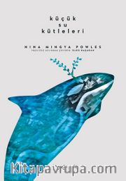 Küçük Su Kütleleri