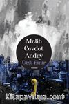 Gizli Emir