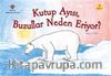 Kutup Ayısı, Buzullar Neden Eriyor?