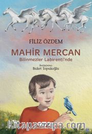 Mahir Mercan / Bilinmezler Labirenti’nde
