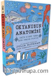 Okyanusun Anatomisi