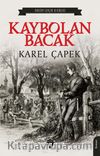 Kaybolan Bacak