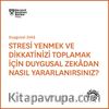 Stresi Yenmek ve Dikkatinizi Toplamak İçin Duygusal Zekadan Nasıl Yararlanırsınız ? 