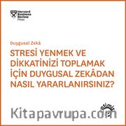 Stresi Yenmek ve Dikkatinizi Toplamak İçin Duygusal Zekadan Nasıl Yararlanırsınız ? 