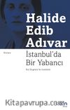İstanbulda Bir Yabancı