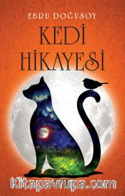 Kedi Hikayesi