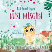 Misi Misgibi