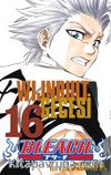 Bleach 16 - Wijnrut Gecesi