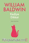 Kediye Dikkat