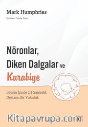 Nöronlar, Diken Dalgalar ve Kurabiye <br /> Beynin İçinde 2,1 Saniyelik Destansı Bir Yolculuk