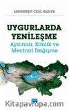 Uygurlarda Yenileşme & Aydınlar, Kimlik ve Mecburi Değişme