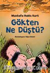 Gökten Ne Düştü?