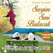Sevgim Seni Bulacak