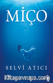 Miço