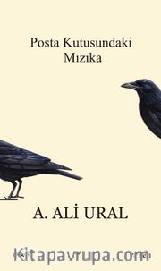 Posta Kutusundaki Mızıka (Ciltsiz)