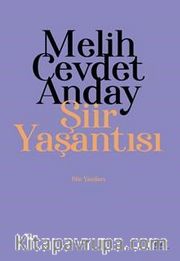 Şiir Yaşantısı <br /> Şiir Yazıları