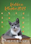 2023 Takvimli Poster - Kediler ve Kitaplar - Yeşil