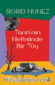 Tanrının Nefesinde Bir Tüy