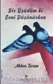 Bir Üşüdüm ki Seni Düşünürken