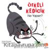 Öfkeli Kedicik Ne Yapsın?