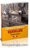 Dünyada ve Türkiye'de Eşekler
