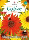 İlk Okuma - Çiçekler 