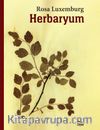 Herbaryum