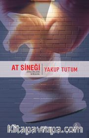 At Sineği
