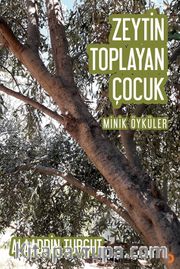 Zeytin Toplayan Çocuk