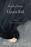 Uçucu Kül