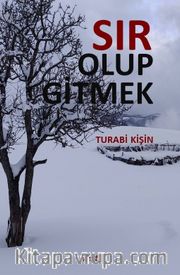 Sır Olup Gitmek