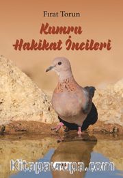 Kumru Hakikat İncileri