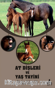 At Dişleri ve Yaş Tayini