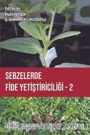 Sebzelerde Fide Yetiştiriciliği 2